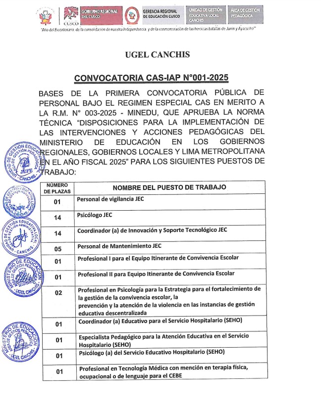 CONVOCATORIA CAS-IAP N°001-2025